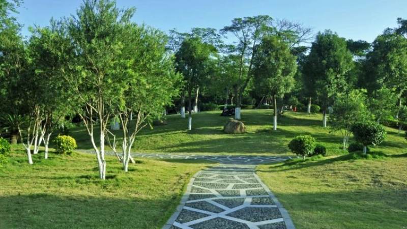 斯诺克世锦赛赛程怎么查？赛制轮次与观赛节奏全解析